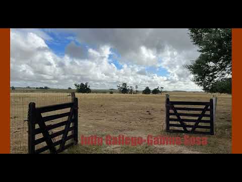 julio Gallego-Gabino Sosa