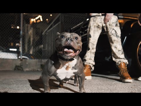 Video thumbnail cIjpfA5lzmM