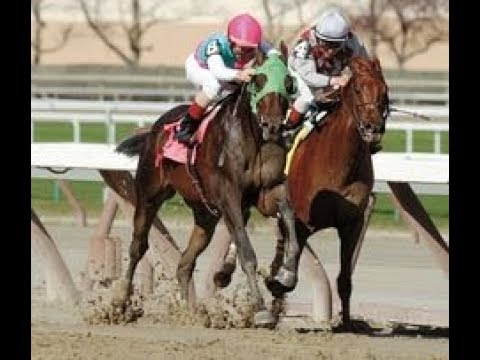 The Wood Memorial Stakes (G1)  2003 -  Empire Maker