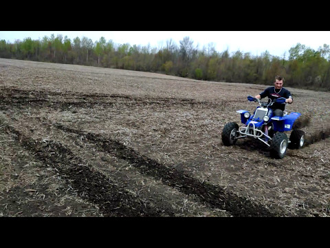 banshee 350