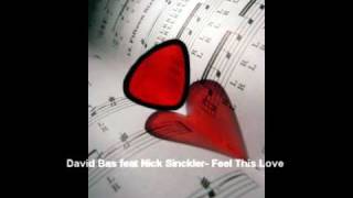 David Bas feat Nick Sinckler- Feel This Love.wmv