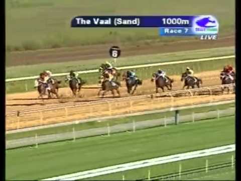 Gold Game - R110K - PINNACLE STAKES For all Horses 2011-1000m