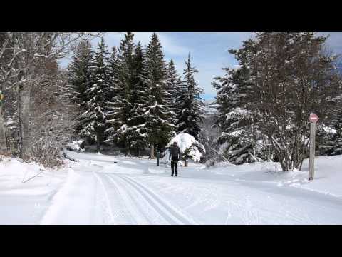 Plein la vue aux Allières 