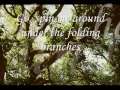 Under The Folding Branches - The Veils (lyrics ...