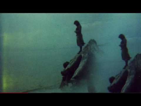 The Pussywarmers - Bateau