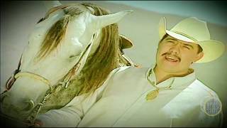 El Frijolito Lyrics English Translation