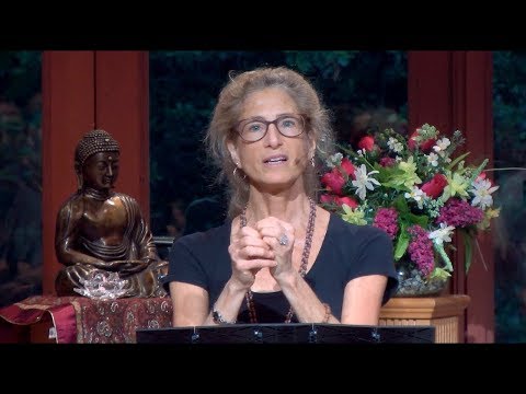 Tara Talks: Mindfulness as a Way to Evolve from our Fear Based Culture