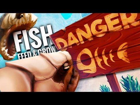 fish feed and grow steam fish feed and grow steam