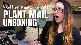 Uncommon Houseplant Unboxing | From: thecrazyplantman plantyplace.com