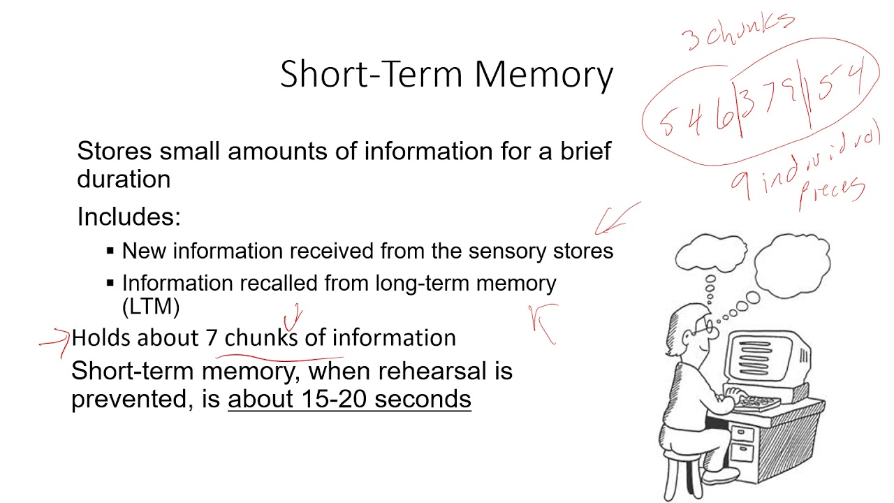 Learning and Memory Pt1