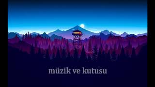 Adriana Calcanhotto-  Clandestino