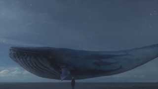 Extinction - IPHAZE (Head Shivers sept 2013) - OFFICIAL VIDEO - Support Sea Shepherd