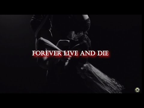 OMD (Orchestral Manoeuvres In The Dark) -  Forever Live And Die [Lyrics]