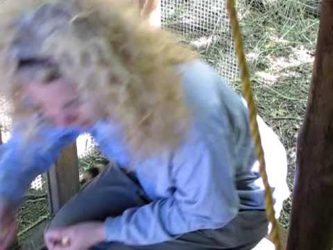 The Raccoon Whisperer - Episode 1