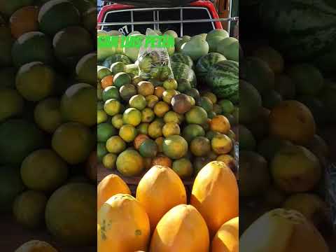 Frutas San Luis Peten #corridos#agriculture#