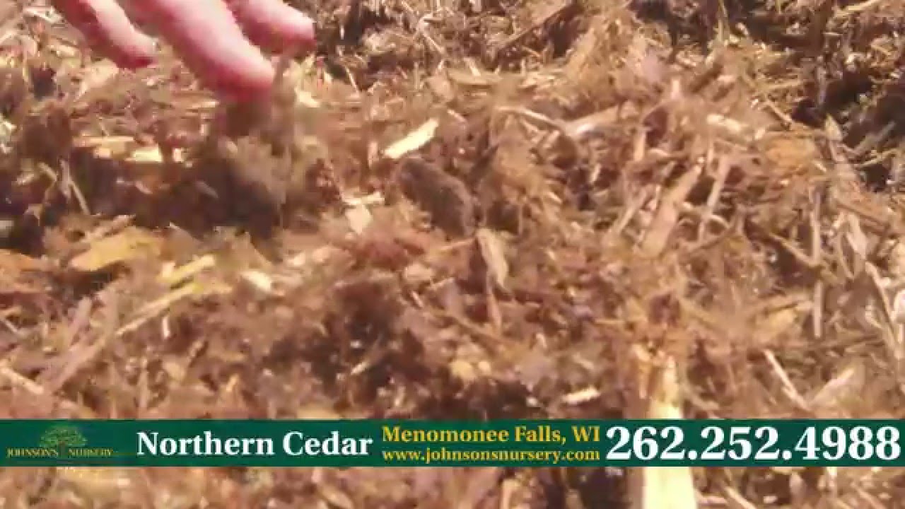 Northern Cedar Mulch