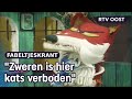 Fabeltjeskrant in 't plat: De geldlist van Lowietje | RTV Oost