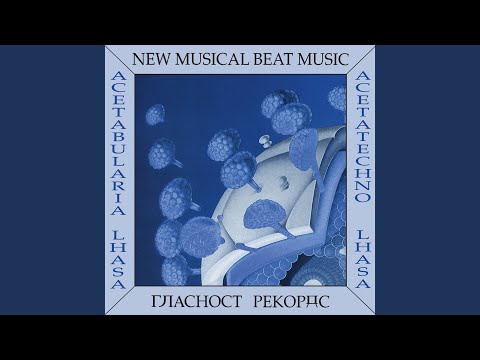 download lagu mp3 mp4 Acetabularia, download lagu Acetabularia gratis, unduh video klip Acetabularia