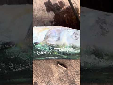 😱 con que nombre lo conoces