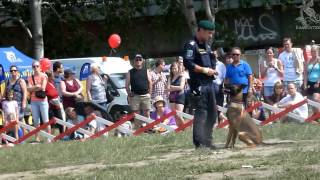 Polizeihunde-Vorführung, Donauinselfest 2012