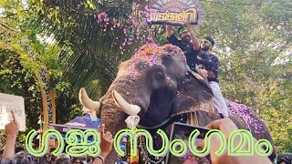 ഗജസംഗമത്തിന് വന്ന ഒരാനയുടെ മുകളിൽ കണ്ട കാഴ്ച@പഴഞ്ഞി പള്ളിപ്പെരുന്നാൾ2025. Pazhanji palli perunnal