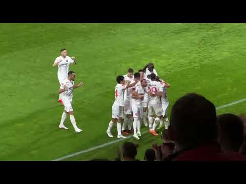 Goool FC Hermannstadt! 1-0 cu FCSB