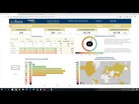 Coface Portfolio Insights