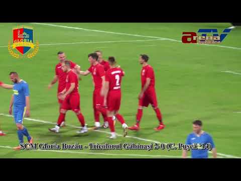 CM Gloria Buzau _ Tricolorul Galbinasi (rezumat)