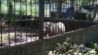 รอยยิ้ม - Scrubb - PY production @ Khao Yai