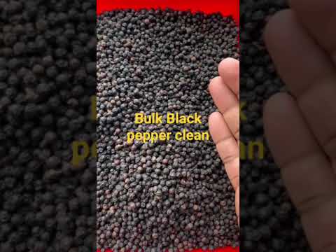 Variety: Malabar - India Bold Black Pepper Clean, Packaging Size: 10 Kg
