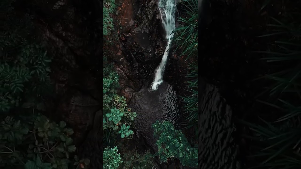 YouTube Short thumbnail