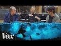 How Hans Zimmer And Radiohead Transformed Bloom For Blue Planet II