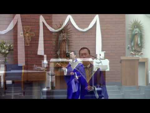 Holy Thursday: Mass of the Lord's Supper, Year A - Fr. Quan Tran's Homily