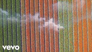 Diouff - Roze Wolk video
