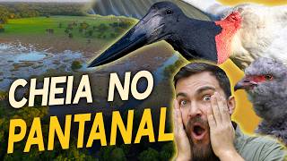 Miniatura do vídeo