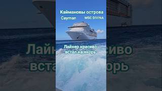 Лайнер красиво встал на якорь #mscdivina #caymans #caribbean #umarkeyn #cruisetour #cruiseship