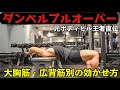【ダンベルプルオーバー】胸・背中別のコツ〜ベンチの向き・立って行う方法も!