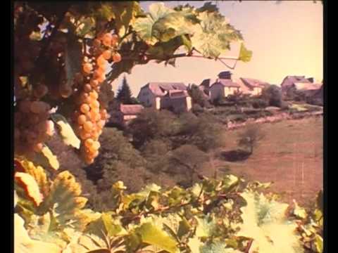 L'aure de la camba tòrsa
