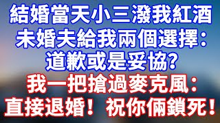 完結版！結婚當天小三潑我紅酒！未婚夫給我兩個選擇：給小三道歉或妥協！我一把搶過麥克風：直接退婚！祝你倆百年好合！#情感故事 #為人處世 #老年生活 #米思故事 #深夜读书#養老 #幸福人生 #晚年幸福