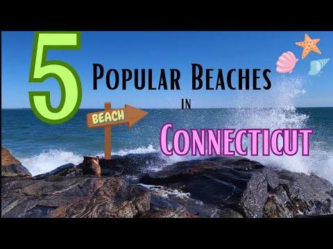 Top 5 Beaches in Connecticut | Hammonasset, West Beach & More