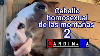 Caballo homosexual de las montañas 2 Cardin.Ja