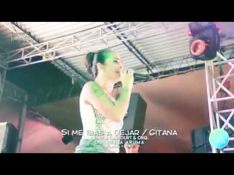 Si me ibas a dejar / gitana - DANIELA DARCOURT