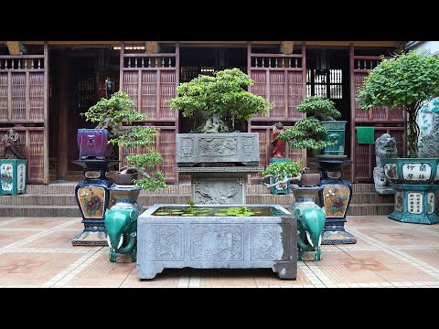 Thăm nhà cổ và vườn cây đẳng cấp của anh Khôi Ninh Hiệp, Hà Nội