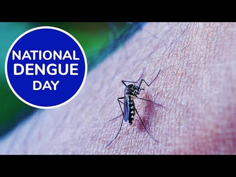 National Dengue Day
