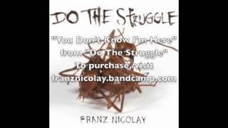 Franz Nicolay - You Don't Know I'm Here