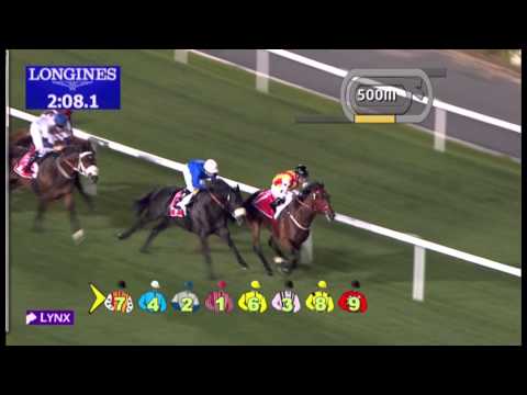 09.03.2013 Meydan (Dubai-UAE) 5.Race Dubai City Of Gold 2013 - Group II  2.410 m