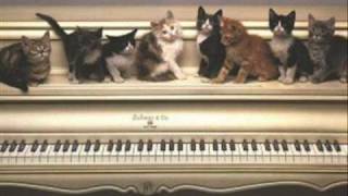 Astor Piazzolla - Calambre