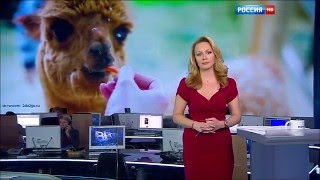 Вести-Москва: контактные зоопарки - 26.02.2016
