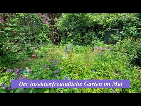 Der insektenfreundliche Garten im Mai