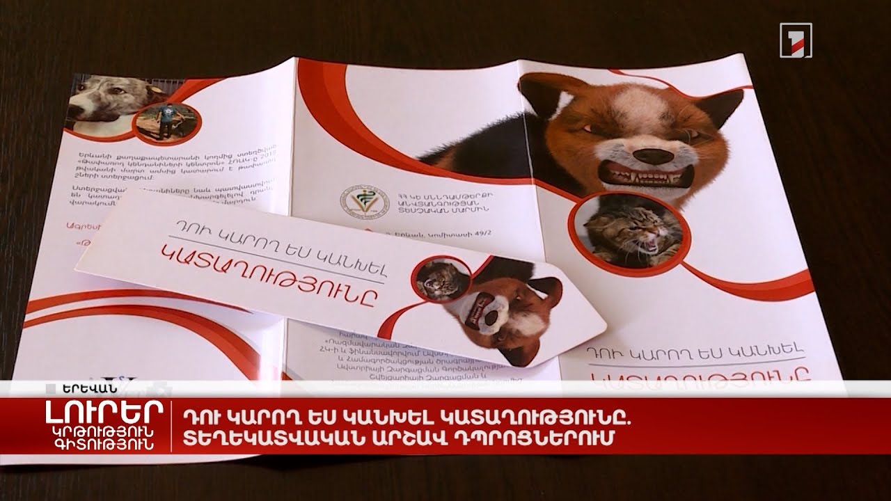 «Դու կարող ես կանխել կատաղությունը». տեղեկատվական արշավ դպրոցներում